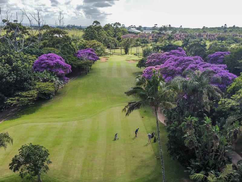 Fairway lined with flowering jacarandas at Umhlali Country Club